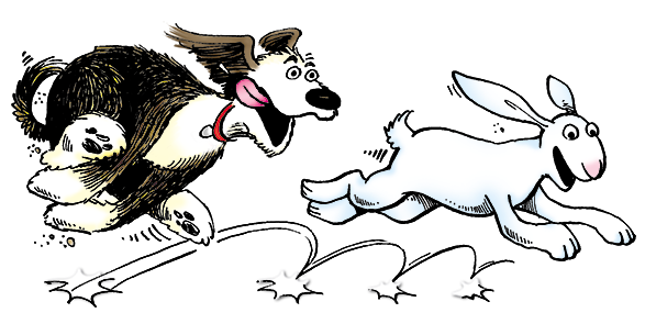 Edgar chases the rabbit through the house